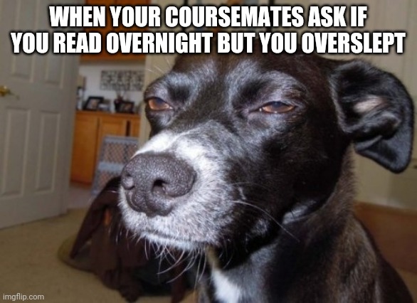 Suspicious dog | WHEN YOUR COURSEMATES ASK IF YOU READ OVERNIGHT BUT YOU OVERSLEPT | image tagged in suspicious dog | made w/ Imgflip meme maker