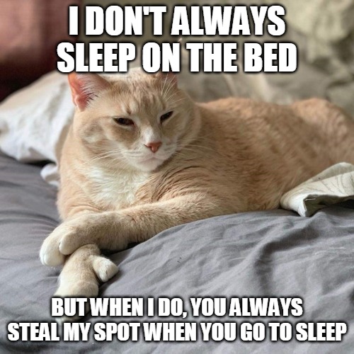 I DON'T ALWAYS SLEEP ON THE BED; BUT WHEN I DO, YOU ALWAYS STEAL MY SPOT WHEN YOU GO TO SLEEP | image tagged in memes,cat,cats,but when i do,Catmemes | made w/ Imgflip meme maker