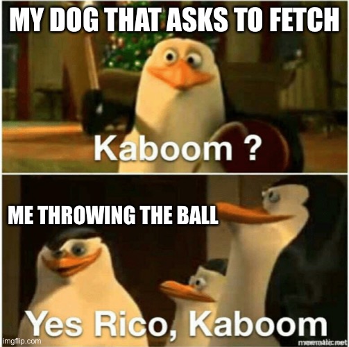 Kaboom? Yes Rico, Kaboom. | MY DOG THAT ASKS TO FETCH; ME THROWING THE BALL | image tagged in kaboom yes rico kaboom | made w/ Imgflip meme maker