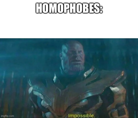 Thanos Impossible | HOMOPHOBES: | image tagged in thanos impossible | made w/ Imgflip meme maker
