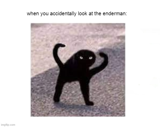 minecraft meme | when you accidentally look at the enderman: | image tagged in minecraft memes | made w/ Imgflip meme maker