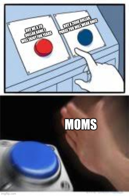 What should i buy?? | BUY A 2000 DOLLAR PURSE YOU WILL WEAR ONCE; BUY ME A 20 DOLLAR GAME I WILL ENJOY FOR YEARS; MOMS | image tagged in red and blue buttons | made w/ Imgflip meme maker