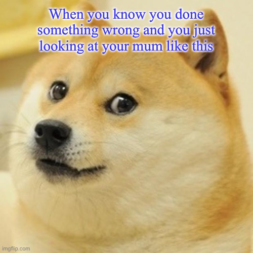 Doge Meme | When you know you done something wrong and you just looking at your mum like this | image tagged in memes,doge | made w/ Imgflip meme maker