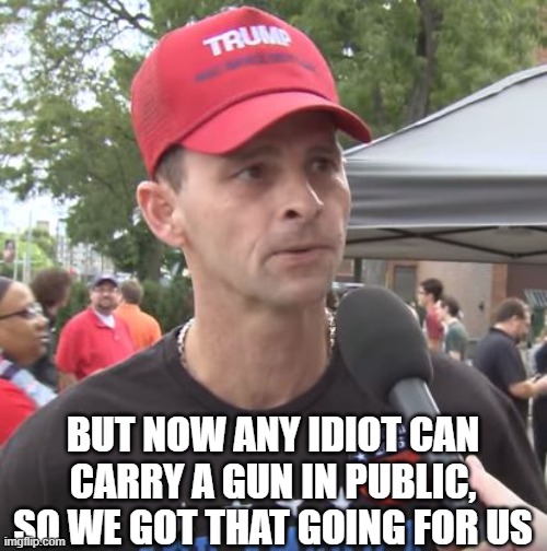 Trump supporter | BUT NOW ANY IDIOT CAN CARRY A GUN IN PUBLIC, SO WE GOT THAT GOING FOR US | image tagged in trump supporter | made w/ Imgflip meme maker