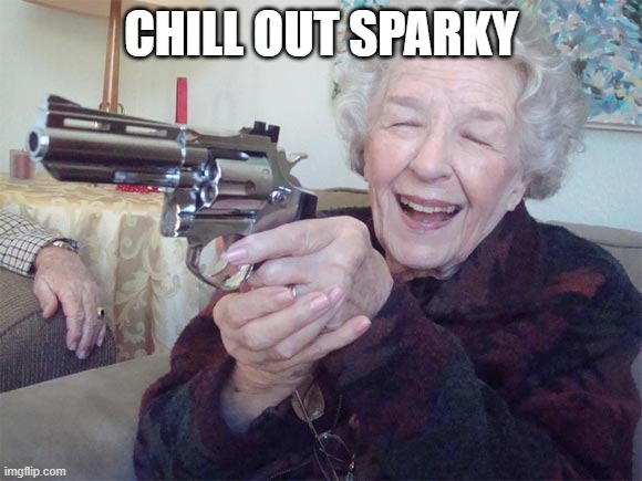 Old lady with gun | CHILL OUT SPARKY | image tagged in old lady with gun | made w/ Imgflip meme maker