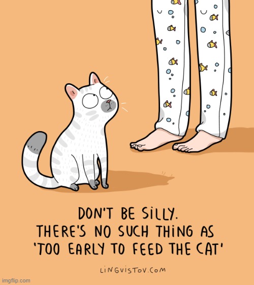 A Cat's Way Of Thinking | image tagged in memes,comics,cats,never,too early,feed me | made w/ Imgflip meme maker