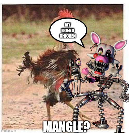 mangle |  MY FRIEND CHICKEN; MANGLE? | image tagged in foxy,fnaf,fnaf mangle,five nights at freddy's,five nights at freddy's 2,mangle | made w/ Imgflip meme maker