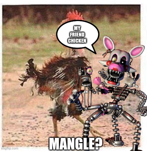 mangle | MY FRIEND CHICKEN; MANGLE? | image tagged in foxy,fnaf,fnaf mangle,five nights at freddy's,five nights at freddy's 2,mangle | made w/ Imgflip meme maker