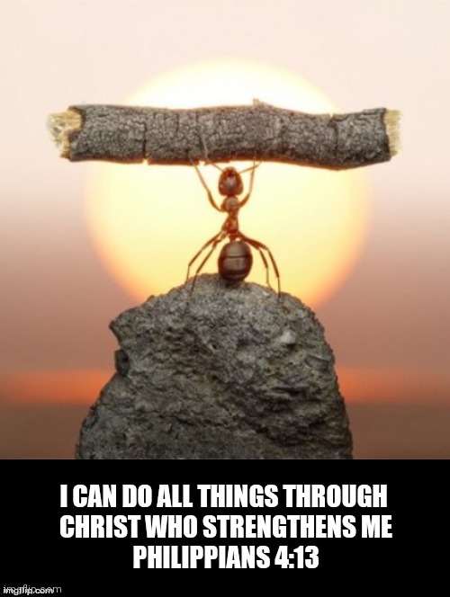 Strength for the Journey | I CAN DO ALL THINGS THROUGH 

CHRIST WHO STRENGTHENS ME
PHILIPPIANS 4:13 | image tagged in strength,christ strengthens me,bible verses,words of wisdom,religion,philippians 4 13 | made w/ Imgflip meme maker