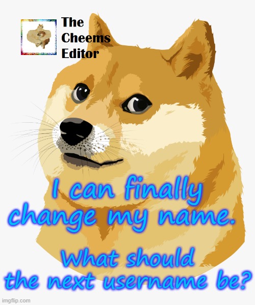I can finally change my name. What should the next username be? | image tagged in thecheemseditor announcement template | made w/ Imgflip meme maker