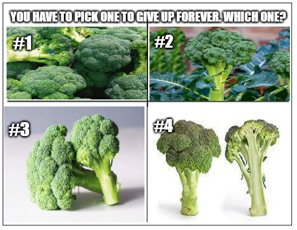 Which broccoli to give up? |  YOU HAVE TO PICK ONE TO GIVE UP FOREVER. WHICH ONE? #2; #1; #3; #4 | image tagged in 4 square grid,broccoli | made w/ Imgflip meme maker