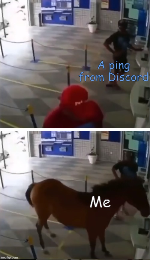 i forgor to release this image, also i think i can post this here bc discord is for gamers |  A ping from Discord; Me | image tagged in discord,horse,homemade meme | made w/ Imgflip meme maker