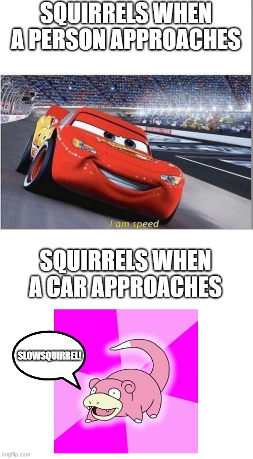 Put Suitable Title Here | SQUIRRELS WHEN A PERSON APPROACHES; SQUIRRELS WHEN A CAR APPROACHES; SLOWSQUIRREL! | image tagged in memes,blank comic panel 2x2,i am speed,slowpoke,lolz,funny | made w/ Imgflip meme maker
