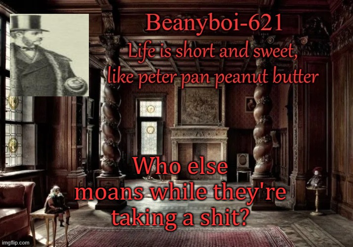 read my tagline on mem | Who else moans while they're taking a shit? | image tagged in victorian beany | made w/ Imgflip meme maker