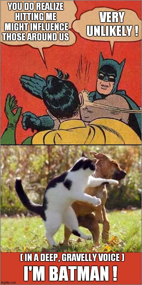 Cat Sees, Cat Does ! | VERY UNLIKELY ! YOU DO REALIZE HITTING ME
 MIGHT INFLUENCE THOSE AROUND US; ( IN A DEEP, GRAVELLY VOICE ); I'M BATMAN ! | image tagged in memes,batman slapping robin,cats | made w/ Imgflip meme maker