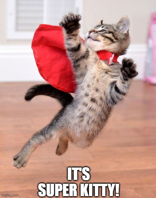 Super Kitty! |  IT'S SUPER KITTY! | image tagged in kitty | made w/ Imgflip meme maker