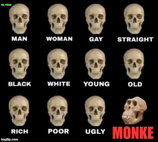 its just an MONKE!!! | MR_PERERA; MONKE | image tagged in idiot skull,monke,apes,funny,fun | made w/ Imgflip meme maker