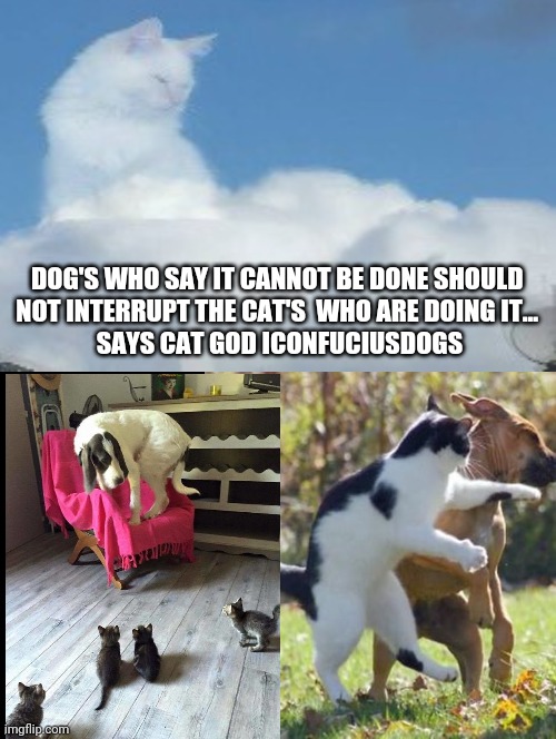 Cat God Says... | DOG'S WHO SAY IT CANNOT BE DONE SHOULD 
NOT INTERRUPT THE CAT'S  WHO ARE DOING IT... 
SAYS CAT GOD ICONFUCIUSDOGS | image tagged in it can't be done,cat god,scared dog,funny,cat memes,dog memes | made w/ Imgflip meme maker