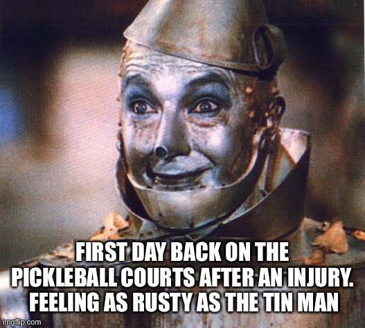 Tin Man | FIRST DAY BACK ON THE PICKLEBALL COURTS AFTER AN INJURY.  FEELING AS RUSTY AS THE TIN MAN | image tagged in tin man | made w/ Imgflip meme maker