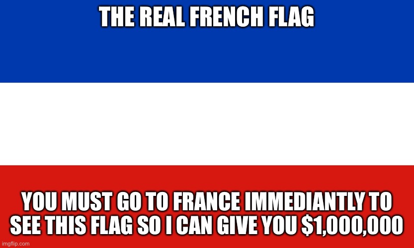 THE REAL FRENCH FLAG | THE REAL FRENCH FLAG; YOU MUST GO TO FRANCE IMMEDIANTLY TO SEE THIS FLAG SO I CAN GIVE YOU $1,000,000 | image tagged in france | made w/ Imgflip meme maker