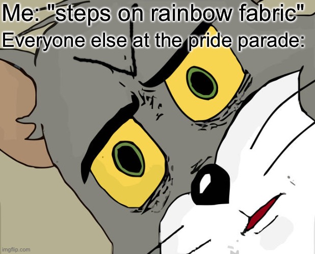 ANGRY (btw I am not homophobic) | Me: "steps on rainbow fabric"; Everyone else at the pride parade: | image tagged in memes,unsettled tom | made w/ Imgflip meme maker