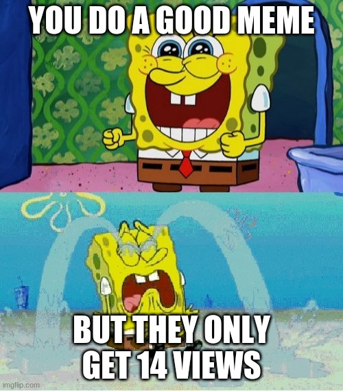 spongebob happy and sad | YOU DO A GOOD MEME; BUT THEY ONLY GET 14 VIEWS | image tagged in spongebob happy and sad | made w/ Imgflip meme maker