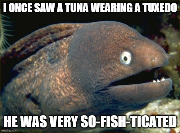 Bad Joke Eel | I ONCE SAW A TUNA WEARING A TUXEDO; HE WAS VERY SO-FISH-TICATED | image tagged in memes,bad joke eel | made w/ Imgflip meme maker