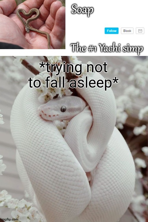 *trying not to fall asleep* | image tagged in soap snake temp ty yachi | made w/ Imgflip meme maker