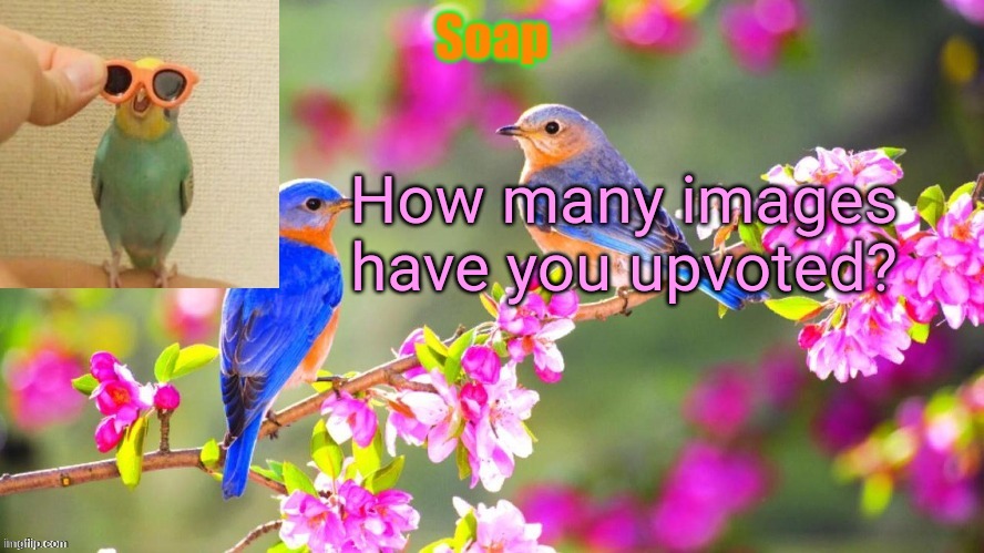 Soap bird tempo | How many images have you upvoted? | image tagged in soap bird tempo ty yachi | made w/ Imgflip meme maker