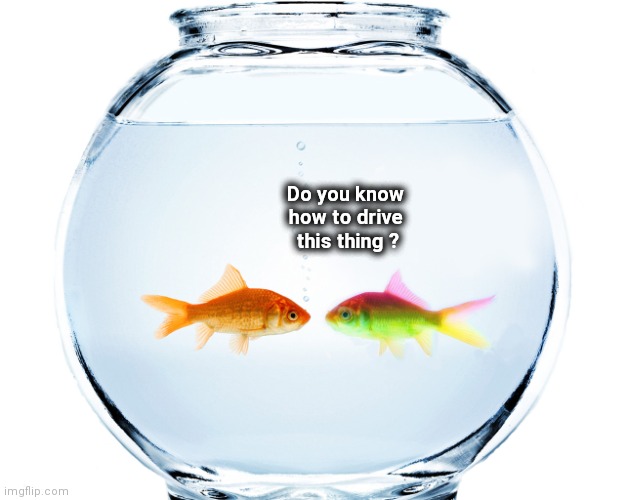 Fish bowl | Do you know
         how to drive
          this thing ? | image tagged in fish bowl | made w/ Imgflip meme maker