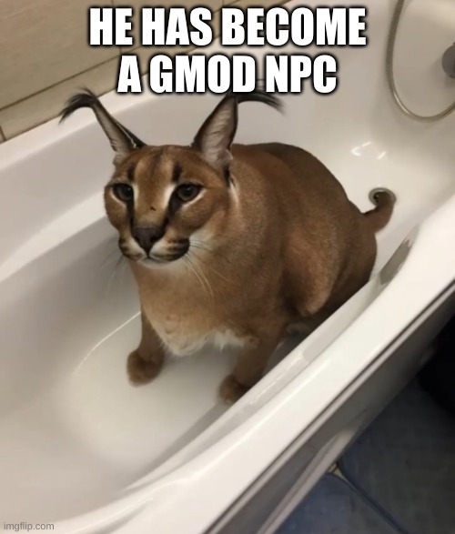 He has over 3 million health | HE HAS BECOME A GMOD NPC | image tagged in big floppa in the tub | made w/ Imgflip meme maker