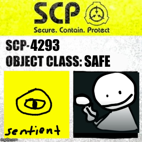 SCP-4293 OBJECT CLASS: SAFE Bob | SAFE; 4293 | image tagged in memes | made w/ Imgflip meme maker