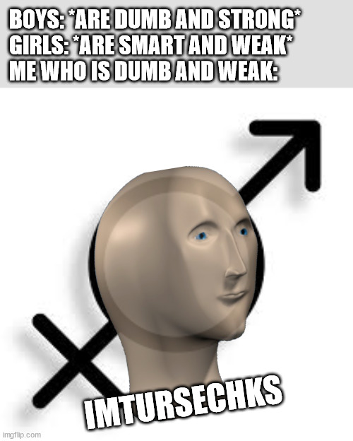 BOYS: *ARE DUMB AND STRONG*
GIRLS: *ARE SMART AND WEAK*
ME WHO IS DUMB AND WEAK:; IMTURSECHKS | image tagged in intersex | made w/ Imgflip meme maker