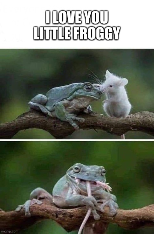 Be careful little froggy |  I LOVE YOU LITTLE FROGGY | image tagged in be careful,frog,mouse,love,i love you | made w/ Imgflip meme maker