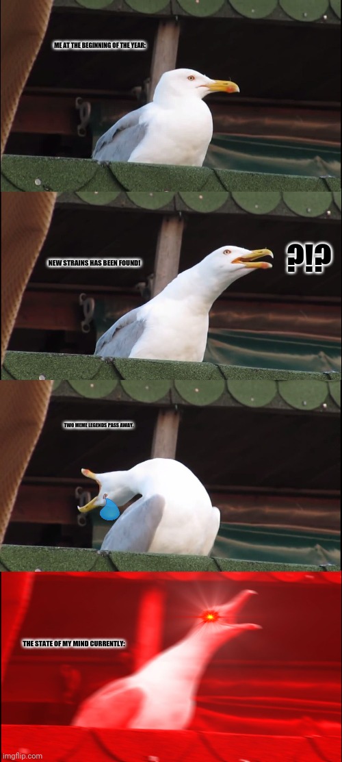 Inhaling Seagull Meme | ME AT THE BEGINNING OF THE YEAR:; ?!? NEW STRAINS HAS BEEN FOUND! TWO MEME LEGENDS PASS AWAY. THE STATE OF MY MIND CURRENTLY: | image tagged in memes,inhaling seagull,coronavirus | made w/ Imgflip meme maker