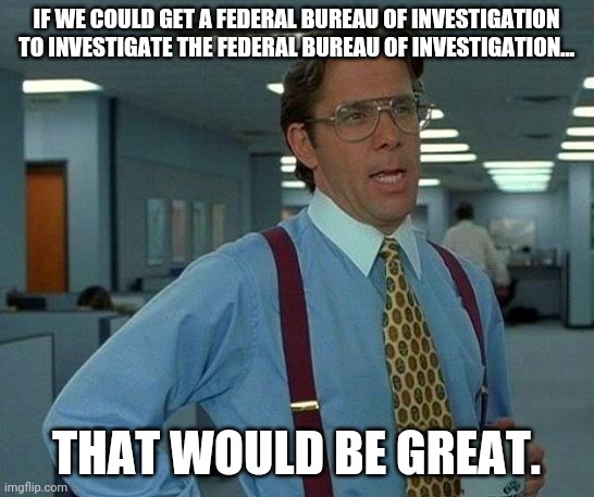 We need our own FBI. | IF WE COULD GET A FEDERAL BUREAU OF INVESTIGATION TO INVESTIGATE THE FEDERAL BUREAU OF INVESTIGATION... THAT WOULD BE GREAT. | image tagged in memes | made w/ Imgflip meme maker