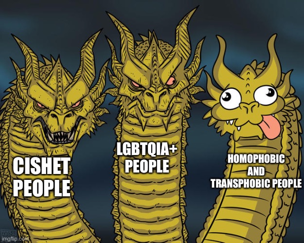 Three-headed Dragon | LGBTQIA+ PEOPLE; HOMOPHOBIC AND TRANSPHOBIC PEOPLE; CISHET PEOPLE | image tagged in three-headed dragon,cishet,lgbtq,homophobic,transphobic | made w/ Imgflip meme maker