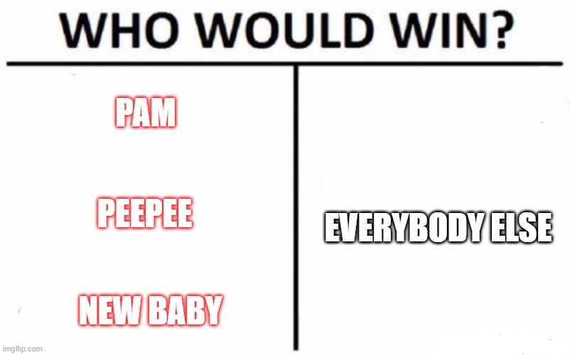 Who Would Win? Meme | PAM; PEEPEE; EVERYBODY ELSE; NEW BABY | image tagged in memes,who would win | made w/ Imgflip meme maker