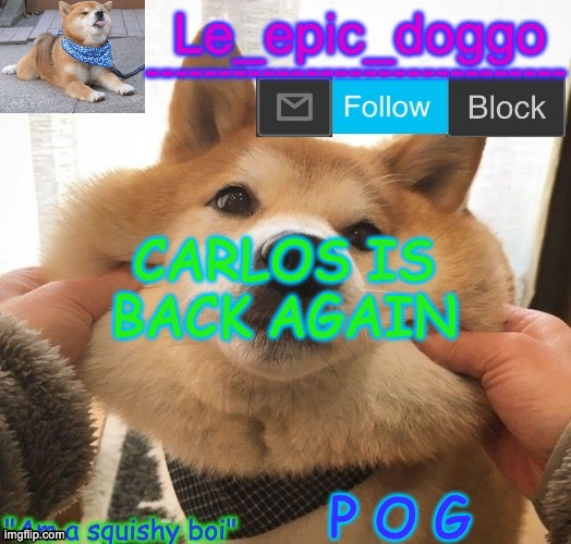 Am a squishy boi temp | CARLOS IS BACK AGAIN; P O G | image tagged in am a squishy boi temp | made w/ Imgflip meme maker