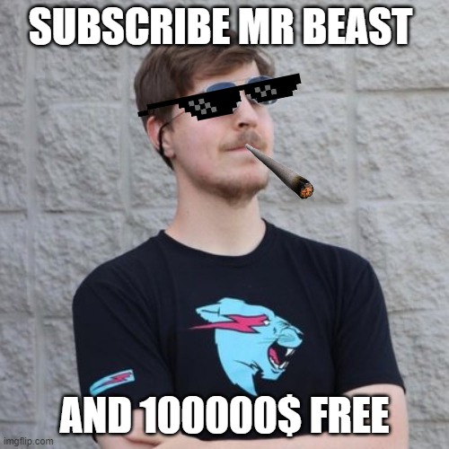 Mr. Beast | SUBSCRIBE MR BEAST; AND 100000$ FREE | image tagged in mr beast | made w/ Imgflip meme maker