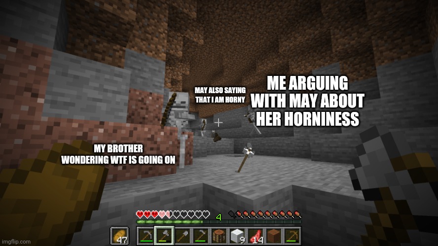 2 skeletons fighting | ME ARGUING WITH MAY ABOUT HER HORNINESS; MAY ALSO SAYING THAT I AM HORNY; MY BROTHER WONDERING WTF IS GOING ON | image tagged in 2 skeletons fighting | made w/ Imgflip meme maker