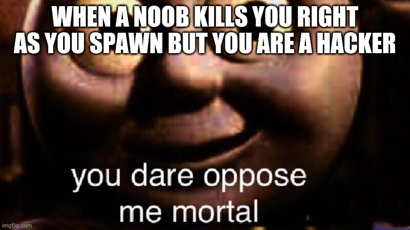 You have made a huge mistake | WHEN A NOOB KILLS YOU RIGHT AS YOU SPAWN BUT YOU ARE A HACKER | image tagged in you dare oppose me mortal | made w/ Imgflip meme maker