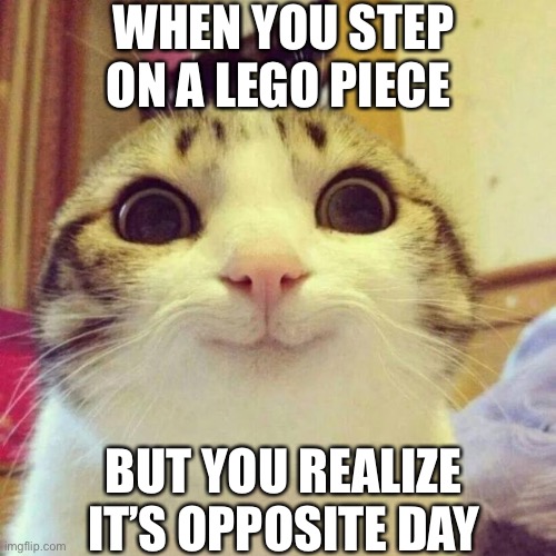 Lol | WHEN YOU STEP ON A LEGO PIECE; BUT YOU REALIZE IT’S OPPOSITE DAY | image tagged in smiling cat | made w/ Imgflip meme maker