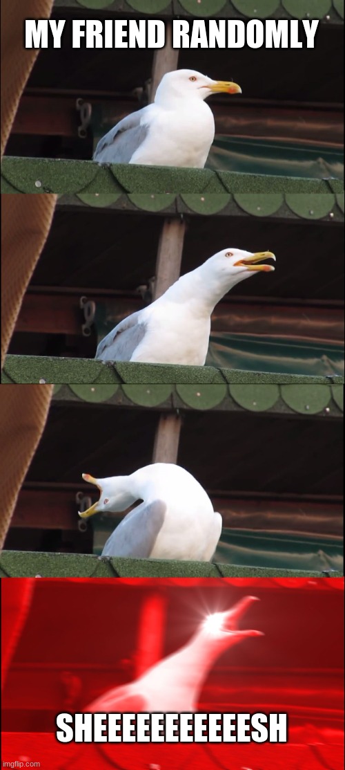 Inhaling Seagull | MY FRIEND RANDOMLY; SHEEEEEEEEEEESH | image tagged in memes,inhaling seagull | made w/ Imgflip meme maker