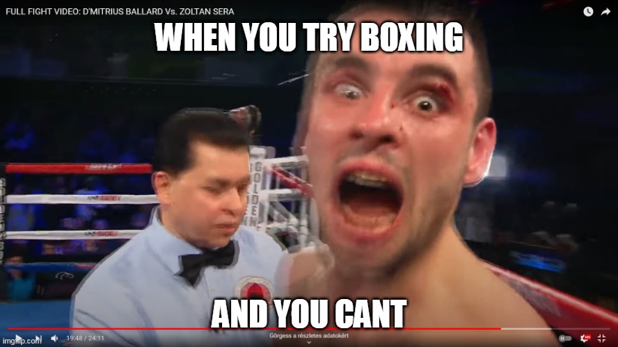 SERA ZOLTAN | WHEN YOU TRY BOXING; AND YOU CANT | image tagged in sera zoltan | made w/ Imgflip meme maker