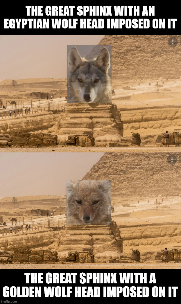 The Great Sphinx with wolf heads imposed on it. |  THE GREAT SPHINX WITH AN EGYPTIAN WOLF HEAD IMPOSED ON IT; THE GREAT SPHINX WITH A GOLDEN WOLF HEAD IMPOSED ON IT | image tagged in egypt,the great sphinx,giza,wolf,wolves,symbolism | made w/ Imgflip meme maker