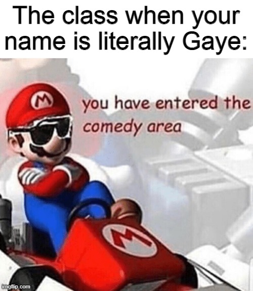 You have entered the comedy area | The class when your name is literally Gaye: | image tagged in you have entered the comedy area,memes | made w/ Imgflip meme maker