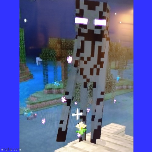 This ever happen to anyone? (Sorry for the bad pic quality) | image tagged in minecraft,enderman | made w/ Imgflip meme maker