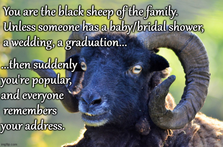 black sheep |  You are the black sheep of the family.
Unless someone has a baby/bridal shower,
a wedding, a graduation... ...then suddenly 
you're popular, 
and everyone
 remembers 
your address. | image tagged in black sheep,graduation,ceremony,presents,gifts | made w/ Imgflip meme maker