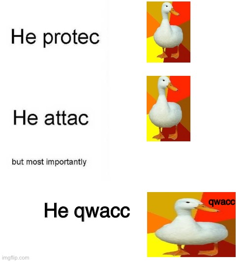 QUACCCCCC | He qwacc; qwacc | image tagged in he protec he attac but most importantly | made w/ Imgflip meme maker